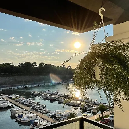 Dashing Oasis * Zadar